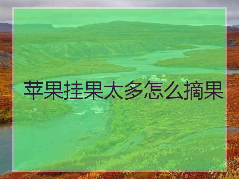 苹果挂果太多怎么摘果