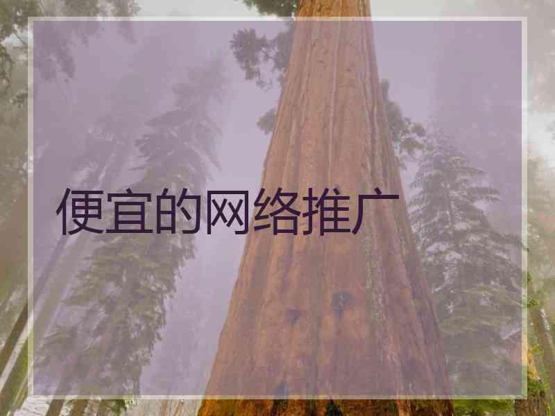 便宜的网络推广