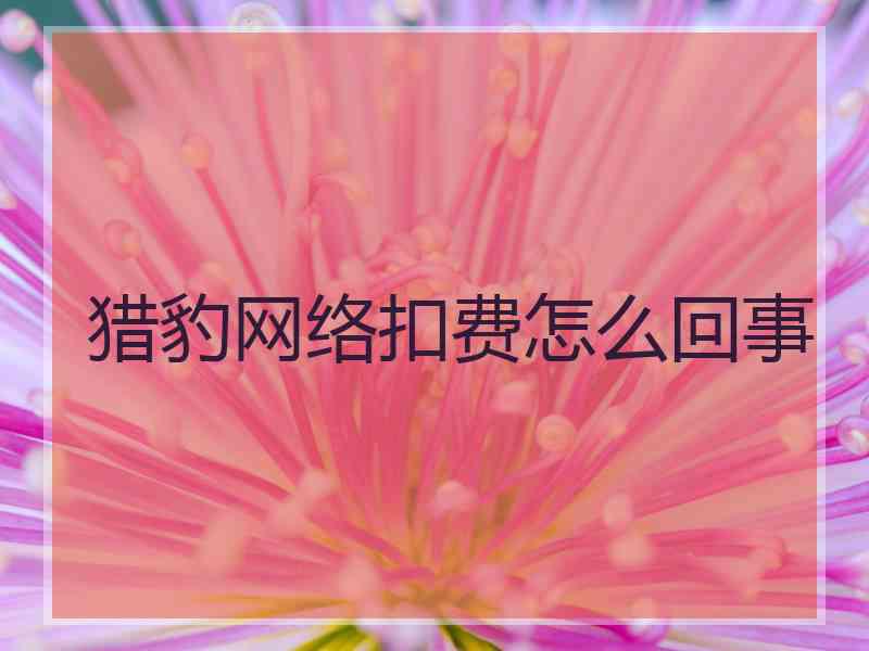 猎豹网络扣费怎么回事