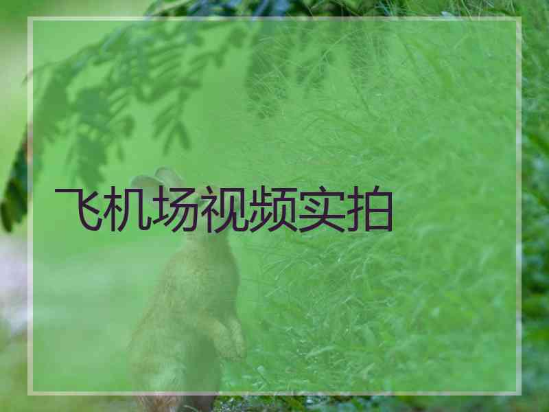 飞机场视频实拍
