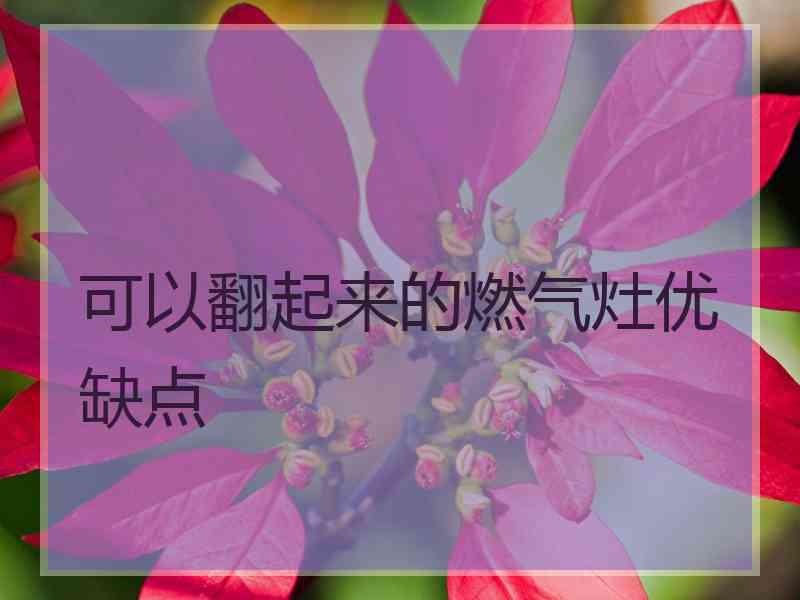 可以翻起来的燃气灶优缺点