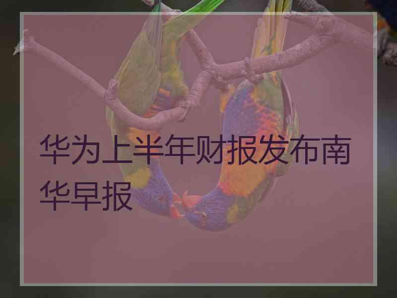 华为上半年财报发布南华早报