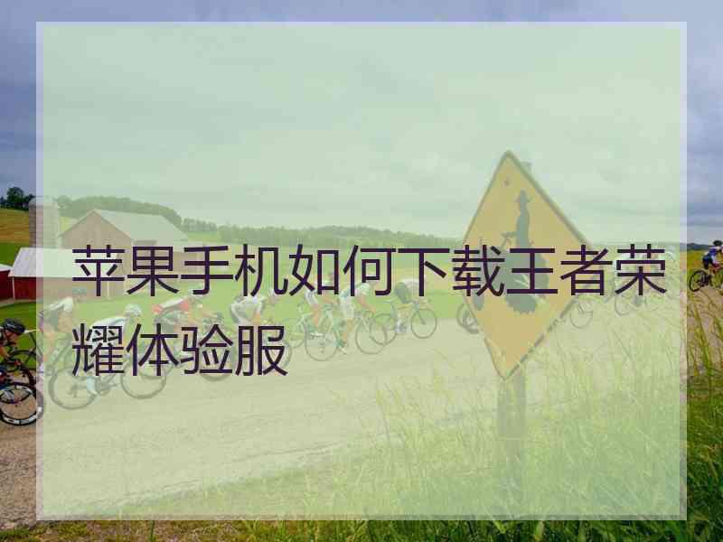 苹果手机如何下载王者荣耀体验服