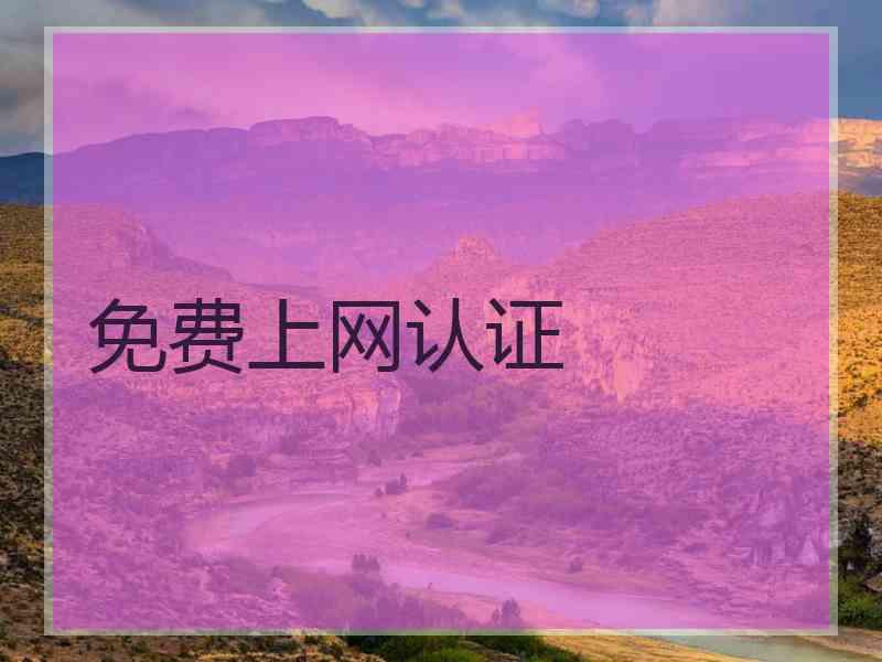 免费上网认证