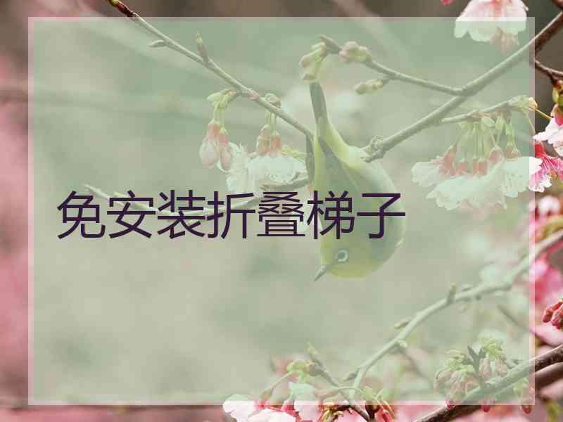 免安装折叠梯子