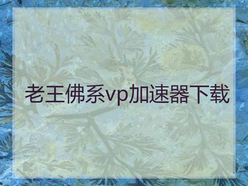 老王佛系vp加速器下载