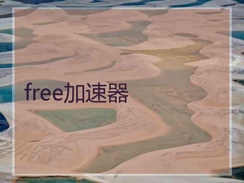 free加速器
