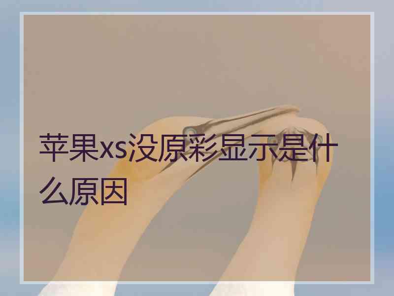 苹果xs没原彩显示是什么原因