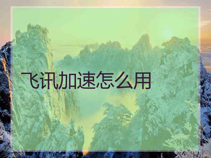 飞讯加速怎么用