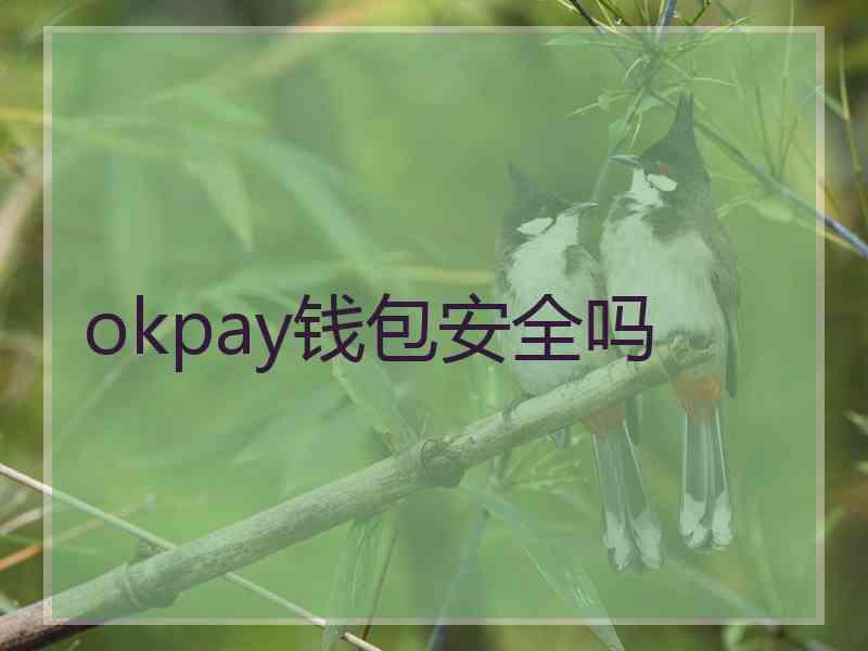 okpay钱包安全吗