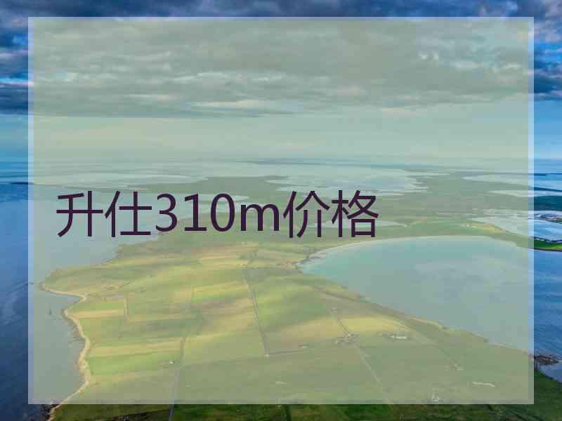 升仕310m价格