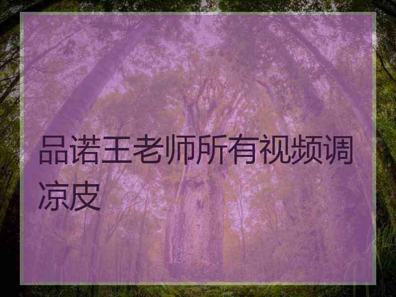 品诺王老师所有视频调凉皮