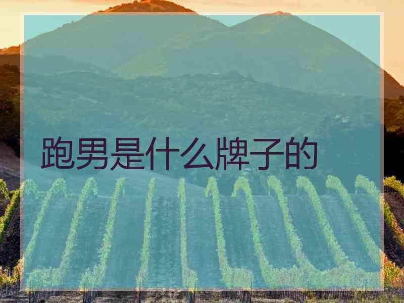 跑男是什么牌子的