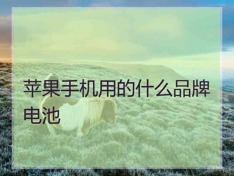 苹果手机用的什么品牌电池