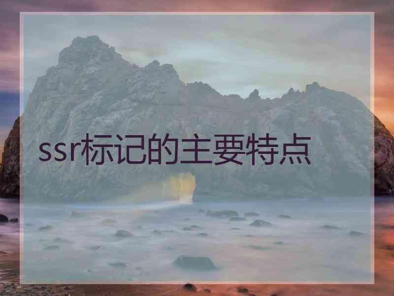ssr标记的主要特点