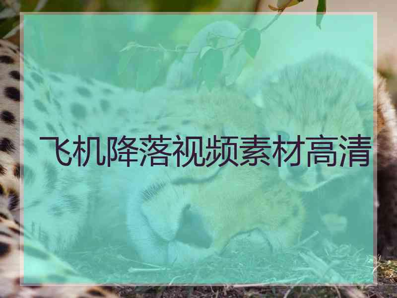 飞机降落视频素材高清