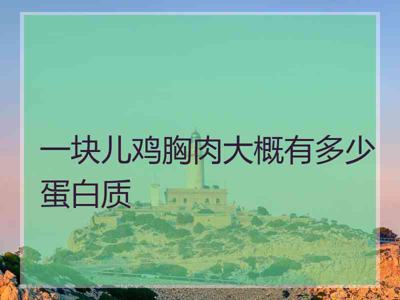 一块儿鸡胸肉大概有多少蛋白质