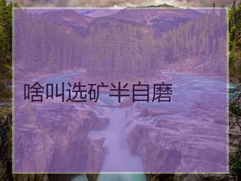 啥叫选矿半自磨