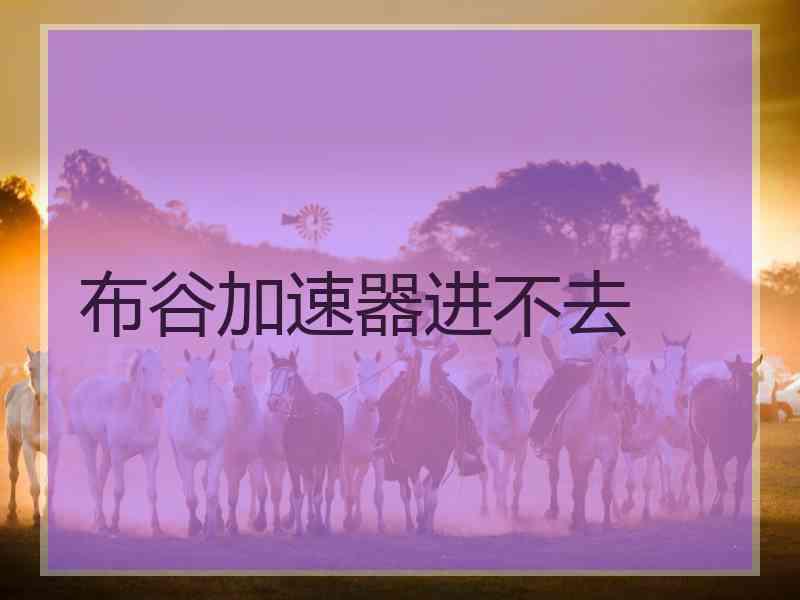 布谷加速器进不去
