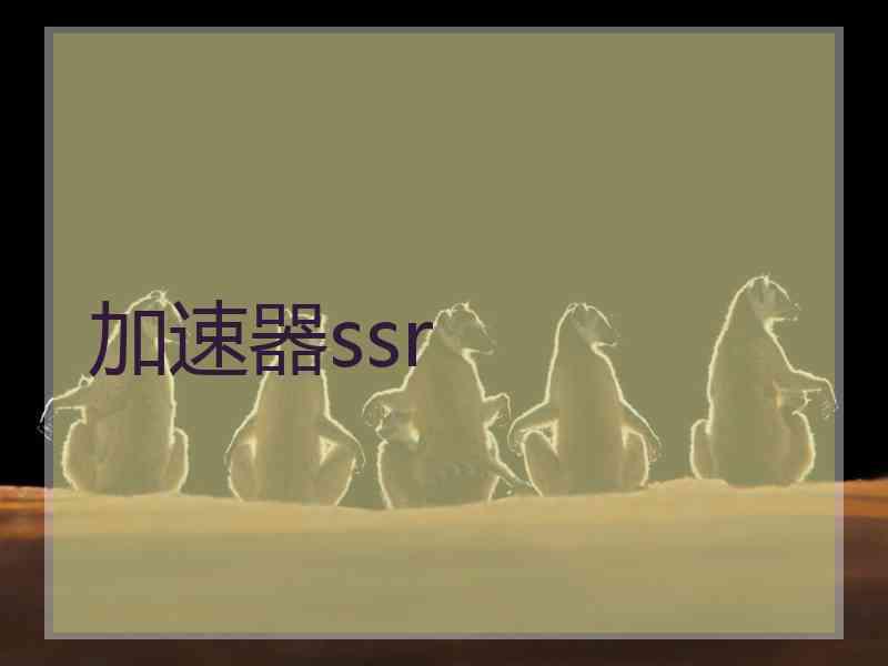 加速器ssr