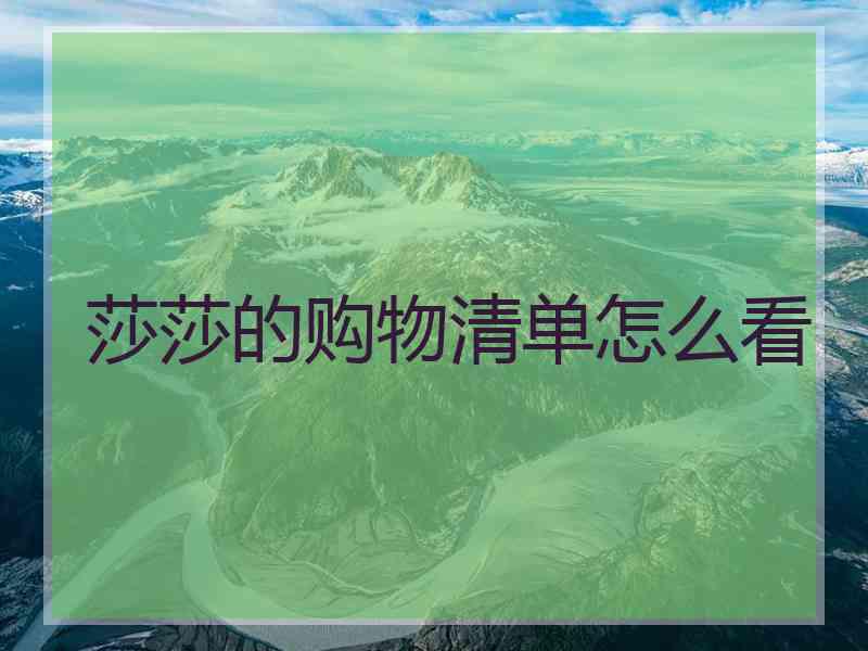莎莎的购物清单怎么看
