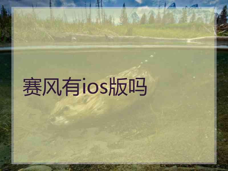赛风有ios版吗