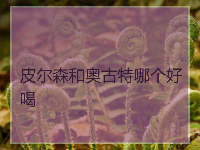 皮尔森和奥古特哪个好喝