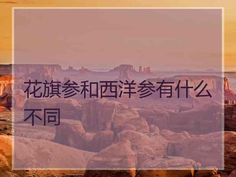 花旗参和西洋参有什么不同
