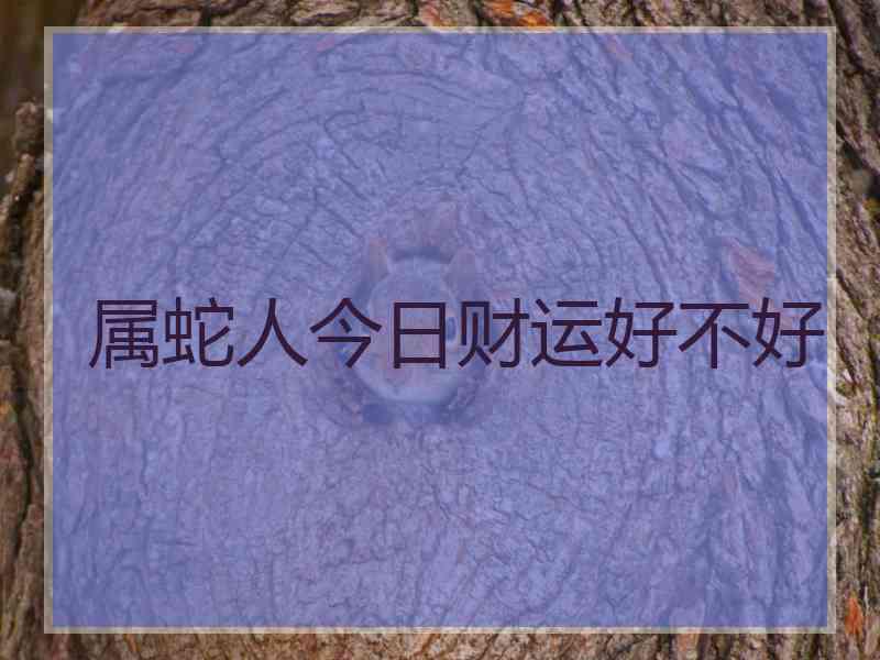 属蛇人今日财运好不好