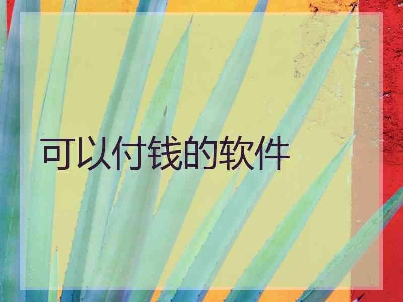可以付钱的软件