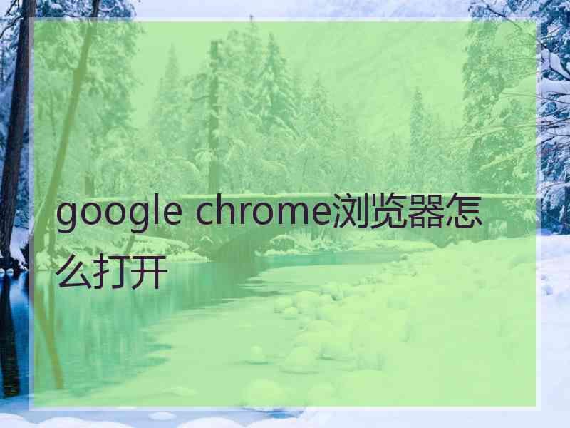 google chrome浏览器怎么打开