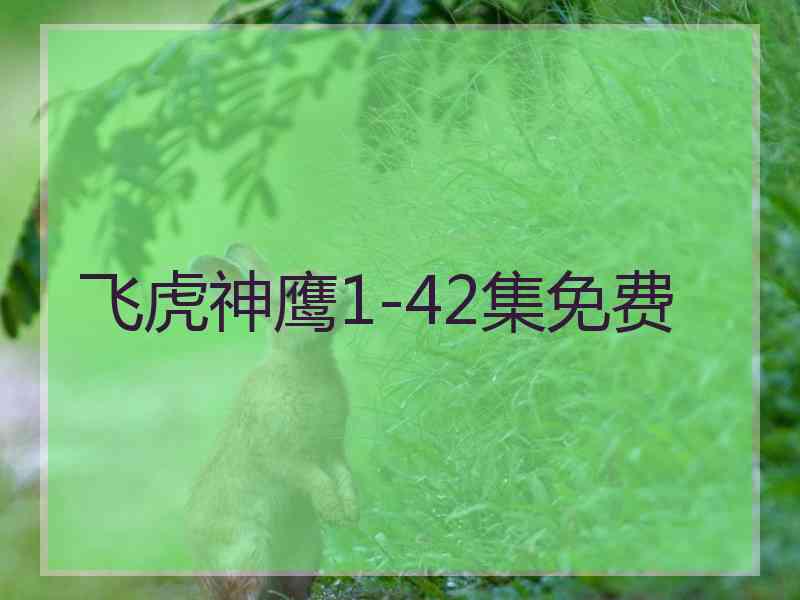 飞虎神鹰1-42集免费