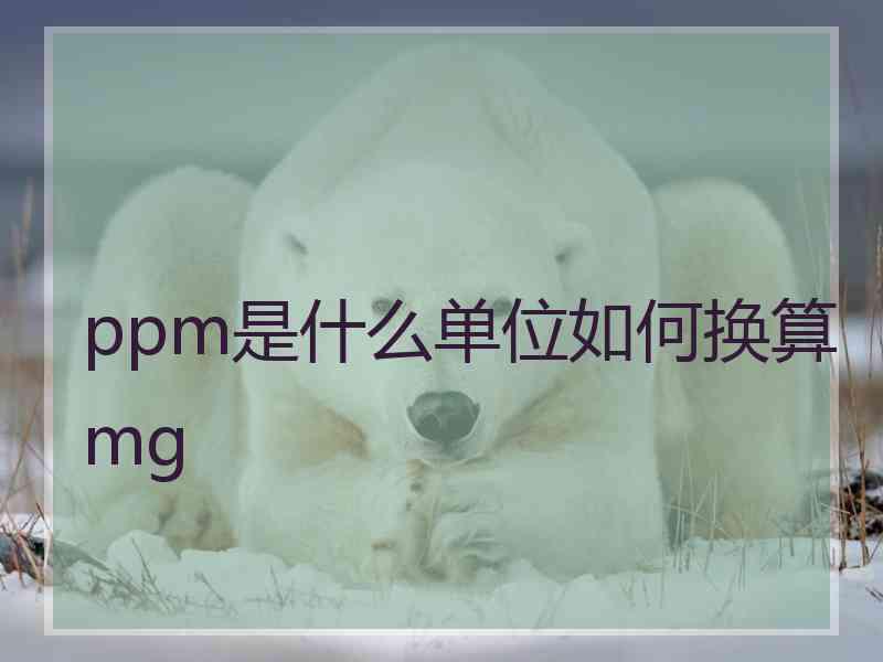 ppm是什么单位如何换算mg