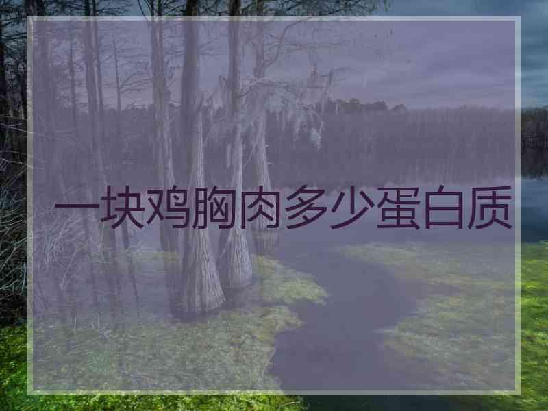 一块鸡胸肉多少蛋白质