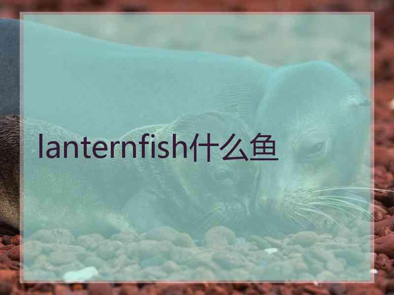 lanternfish什么鱼