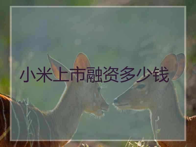 小米上市融资多少钱