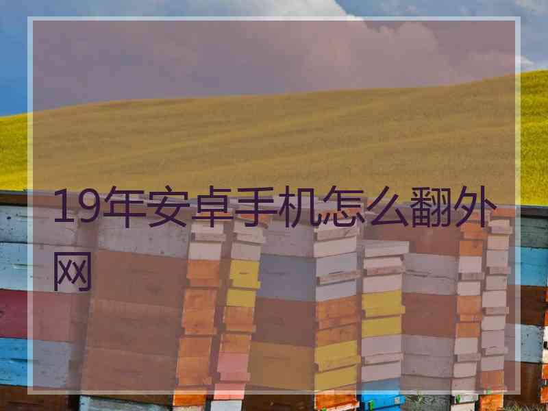 19年安卓手机怎么翻外网