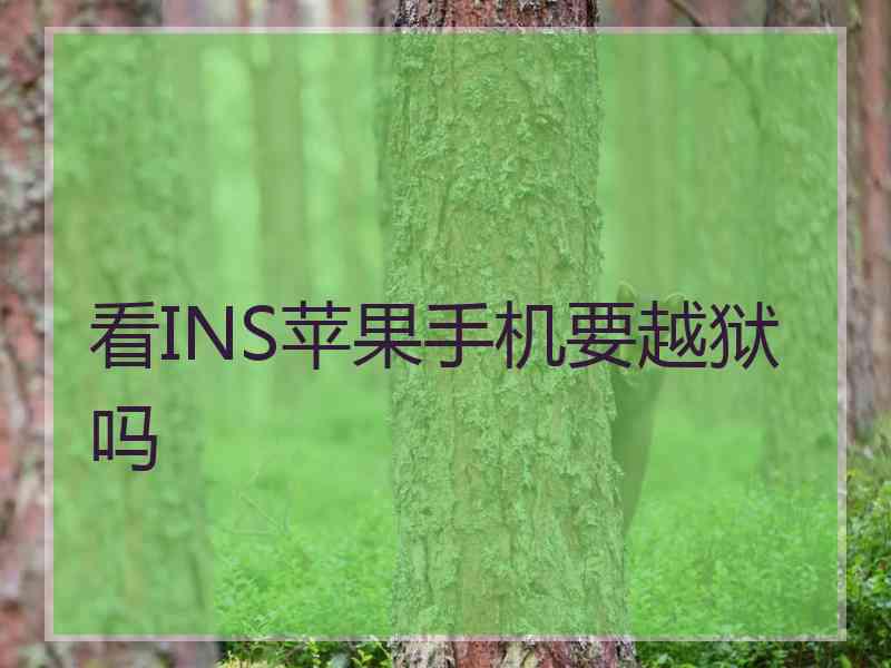 看INS苹果手机要越狱吗