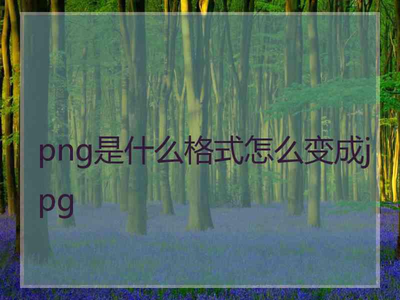 png是什么格式怎么变成jpg