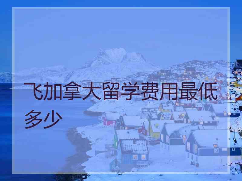 飞加拿大留学费用最低多少