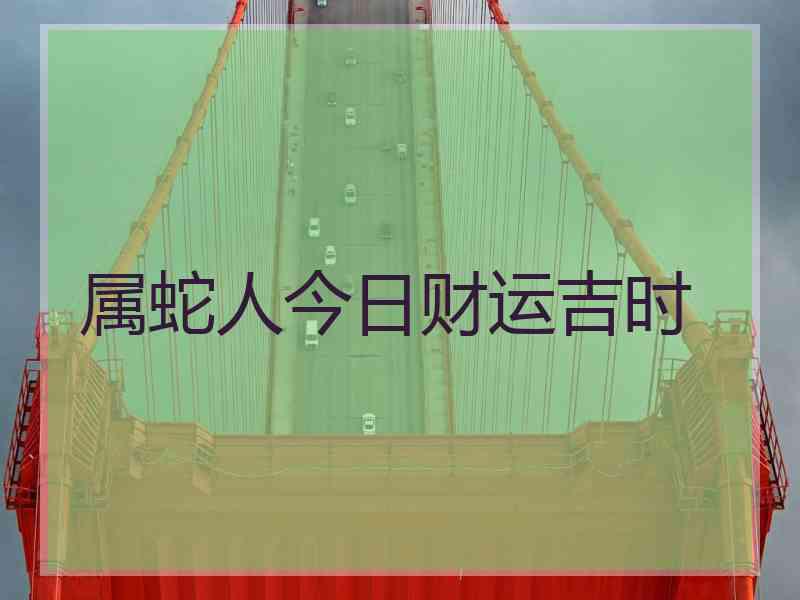 属蛇人今日财运吉时