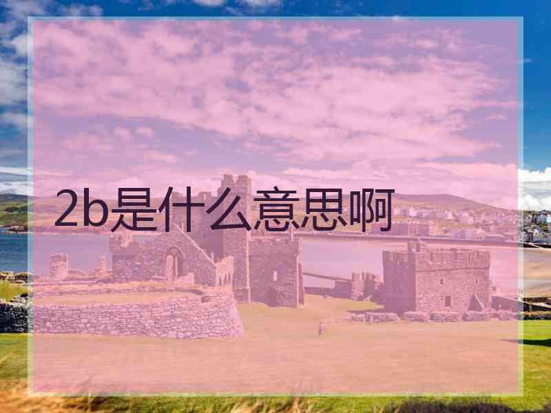 2b是什么意思啊