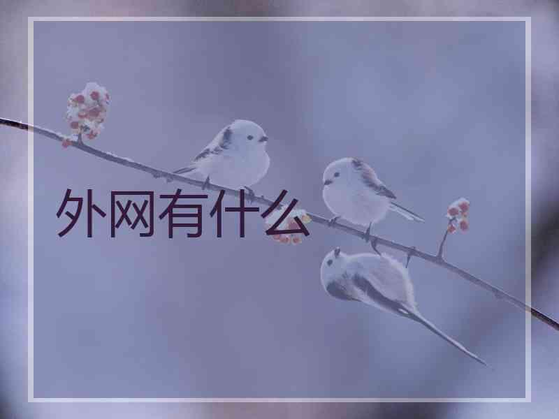 外网有什么