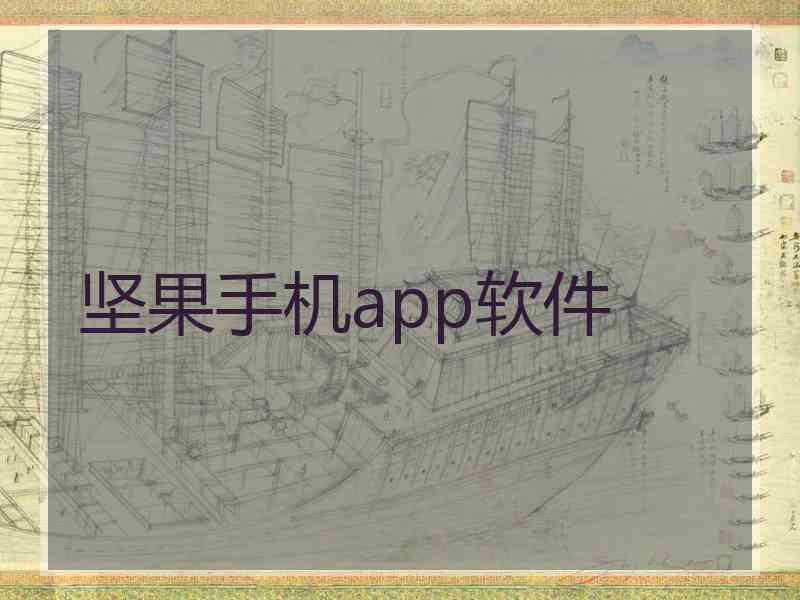坚果手机app软件