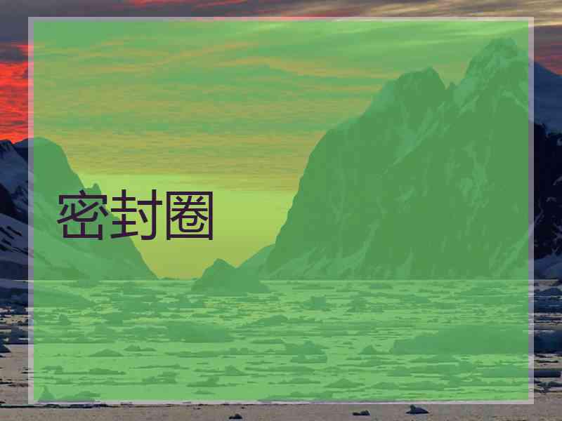 密封圈