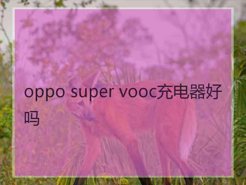 oppo super vooc充电器好吗