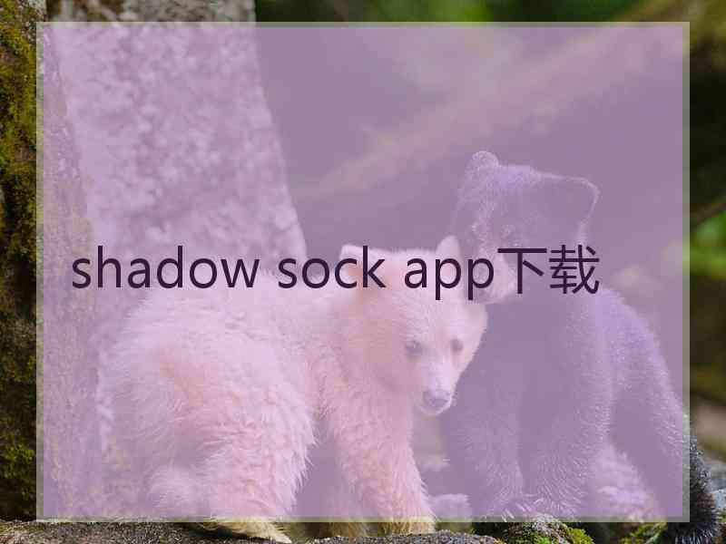 shadow sock app下载