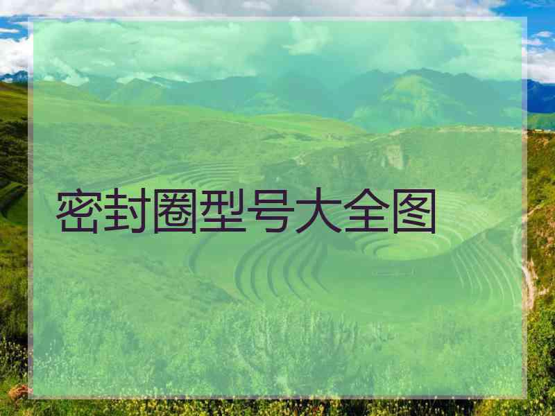 密封圈型号大全图