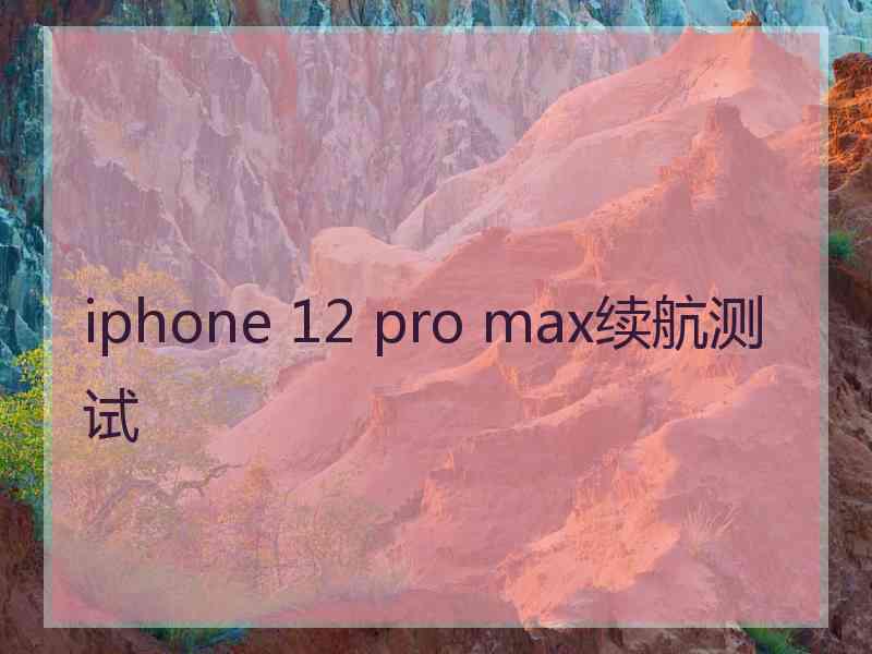 iphone 12 pro max续航测试