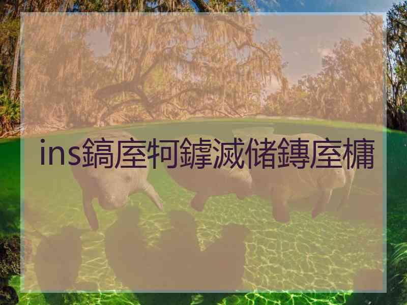 ins鎬庢牱鎼滅储鏄庢槦